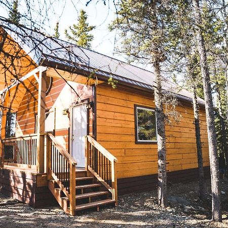Denali Wild Stay - Redfox Cabin, Free Wifi, Private, Sleep 6 Healy Eksteriør bilde