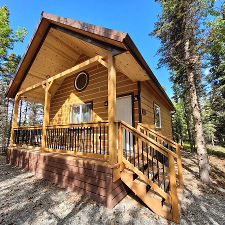 Denali Wild Stay - Redfox Cabin, Free Wifi, Private, Sleep 6 Healy Eksteriør bilde