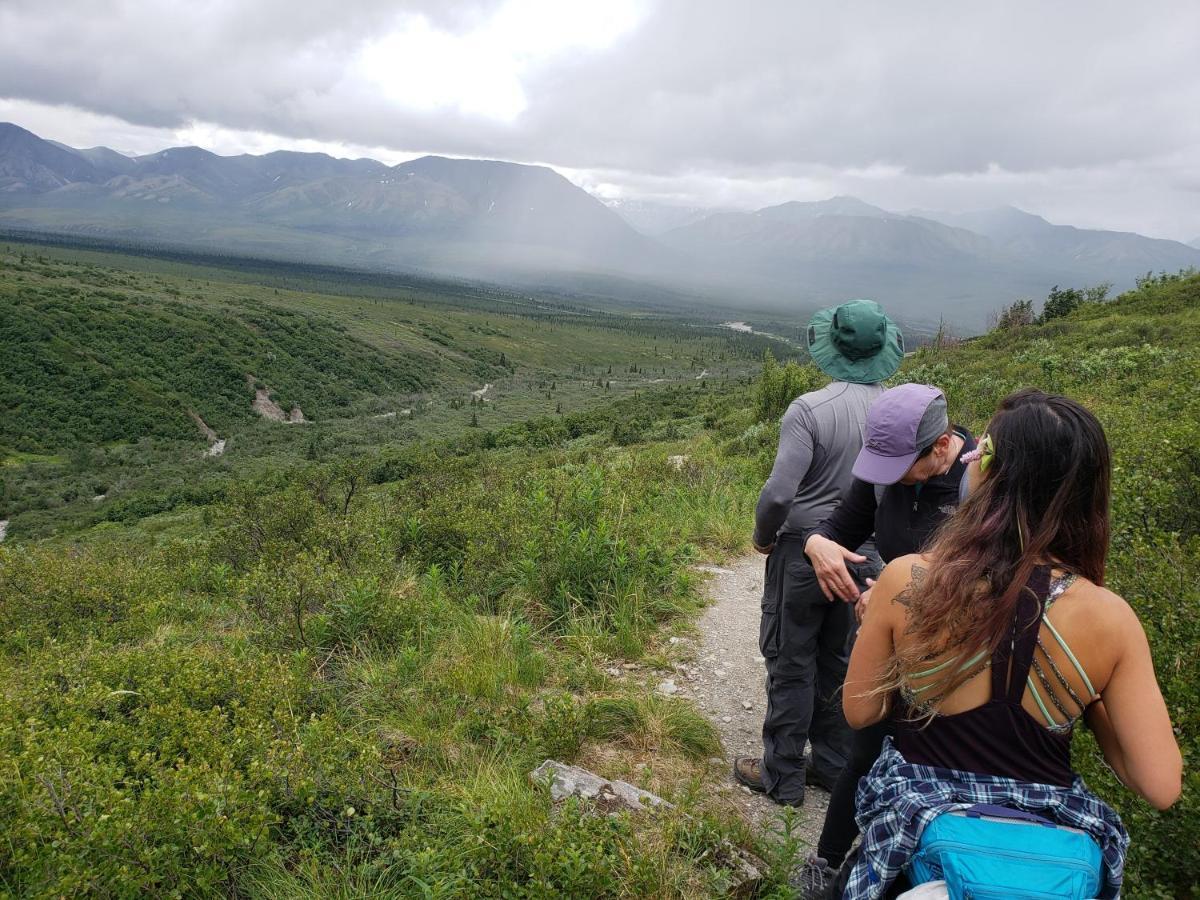 Denali Wild Stay - Redfox Cabin, Free Wifi, Private, Sleep 6 Healy Eksteriør bilde