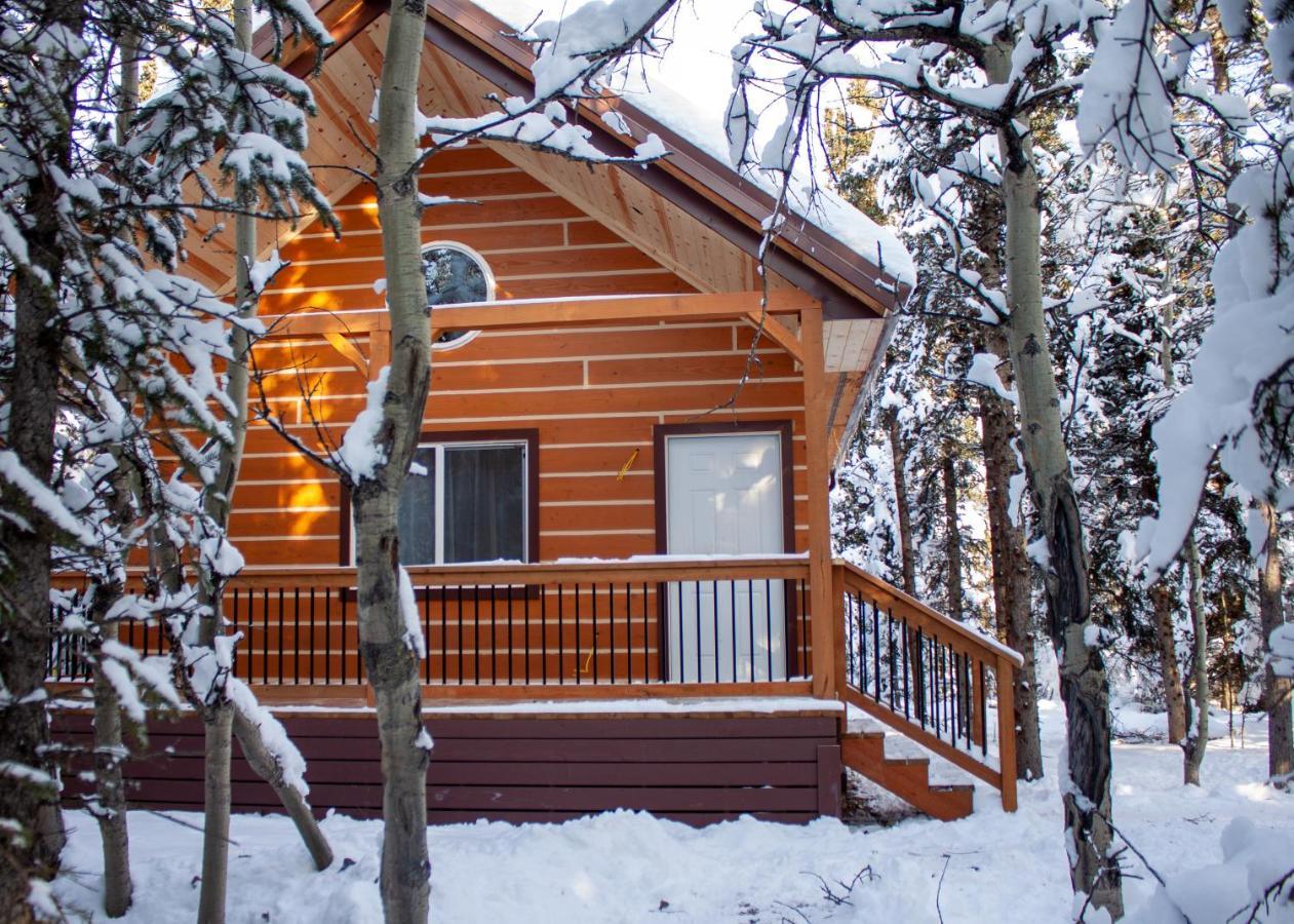 Denali Wild Stay - Redfox Cabin, Free Wifi, Private, Sleep 6 Healy Eksteriør bilde