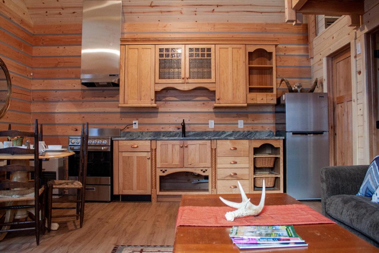 Denali Wild Stay - Redfox Cabin, Free Wifi, Private, Sleep 6 Healy Eksteriør bilde