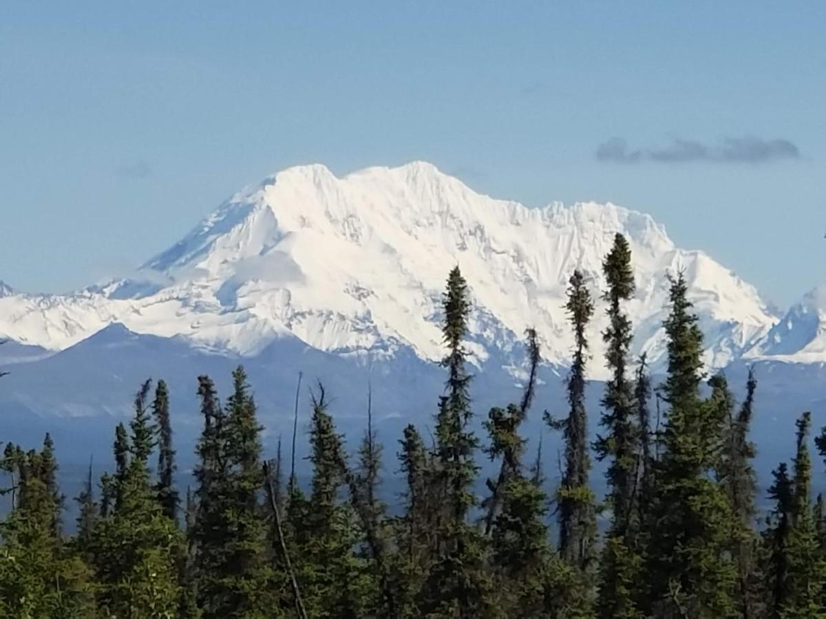 Denali Wild Stay - Redfox Cabin, Free Wifi, Private, Sleep 6 Healy Eksteriør bilde