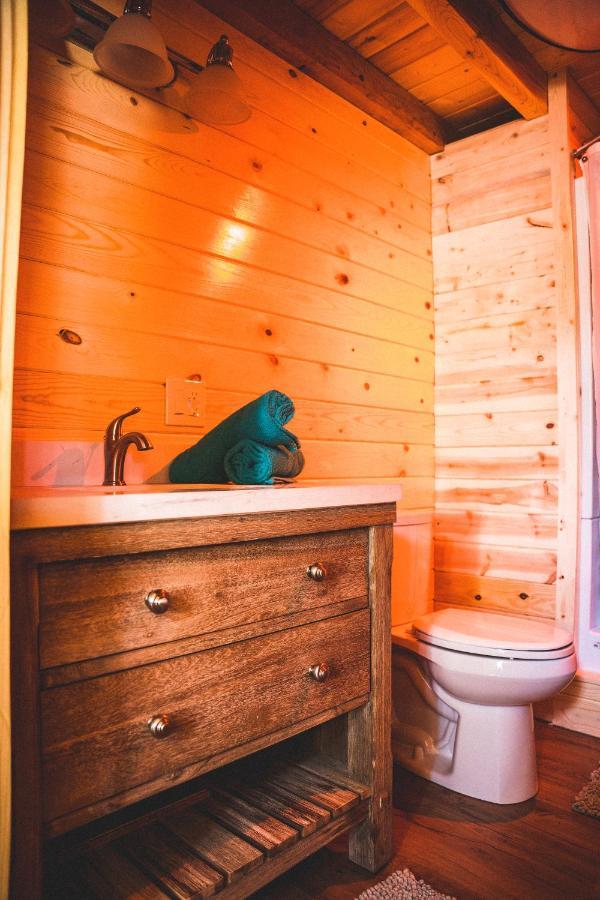 Denali Wild Stay - Redfox Cabin, Free Wifi, Private, Sleep 6 Healy Eksteriør bilde